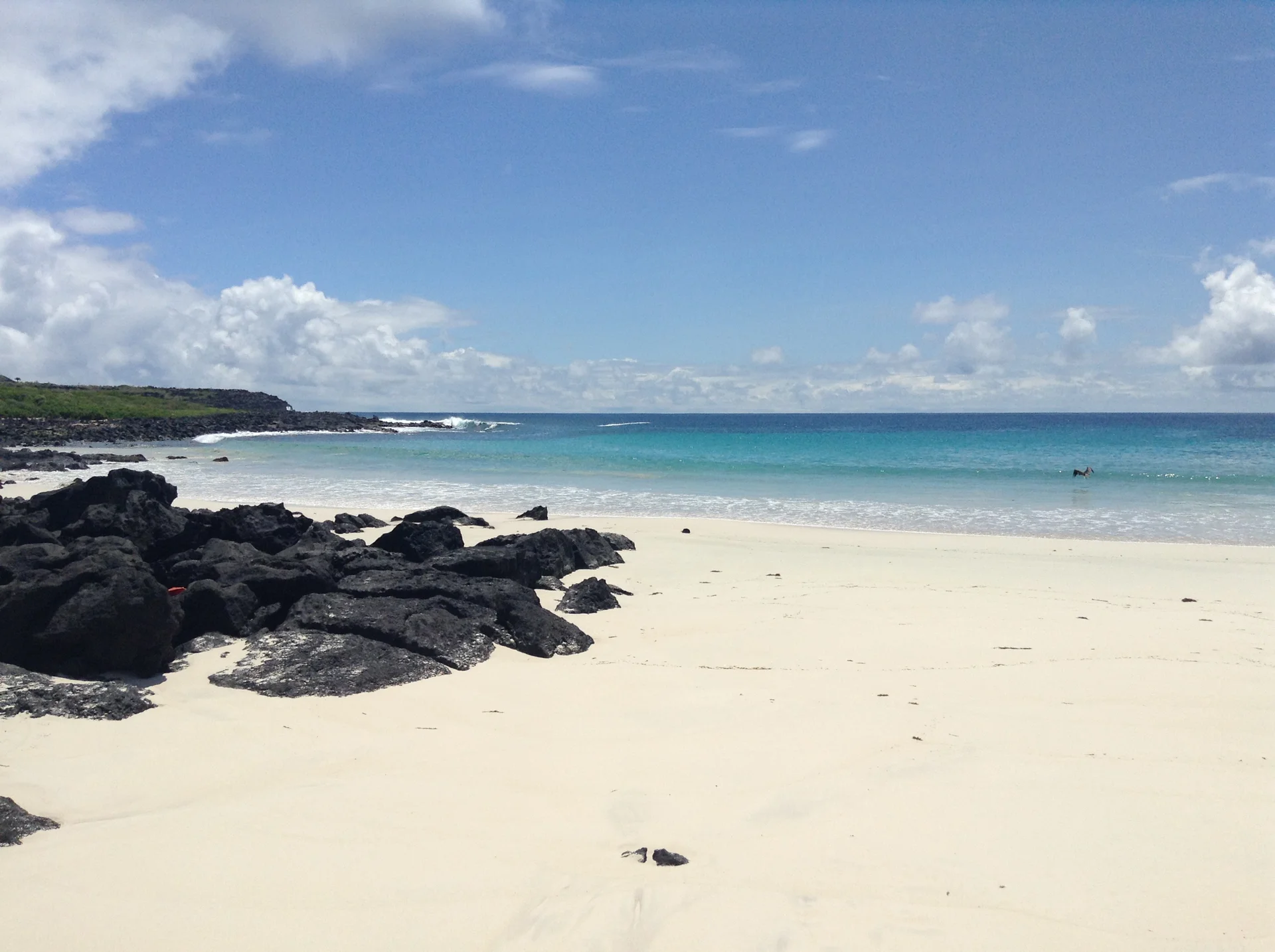Volcanic coastline with black sand beach at Puerto Chino, San Cristóbal Island