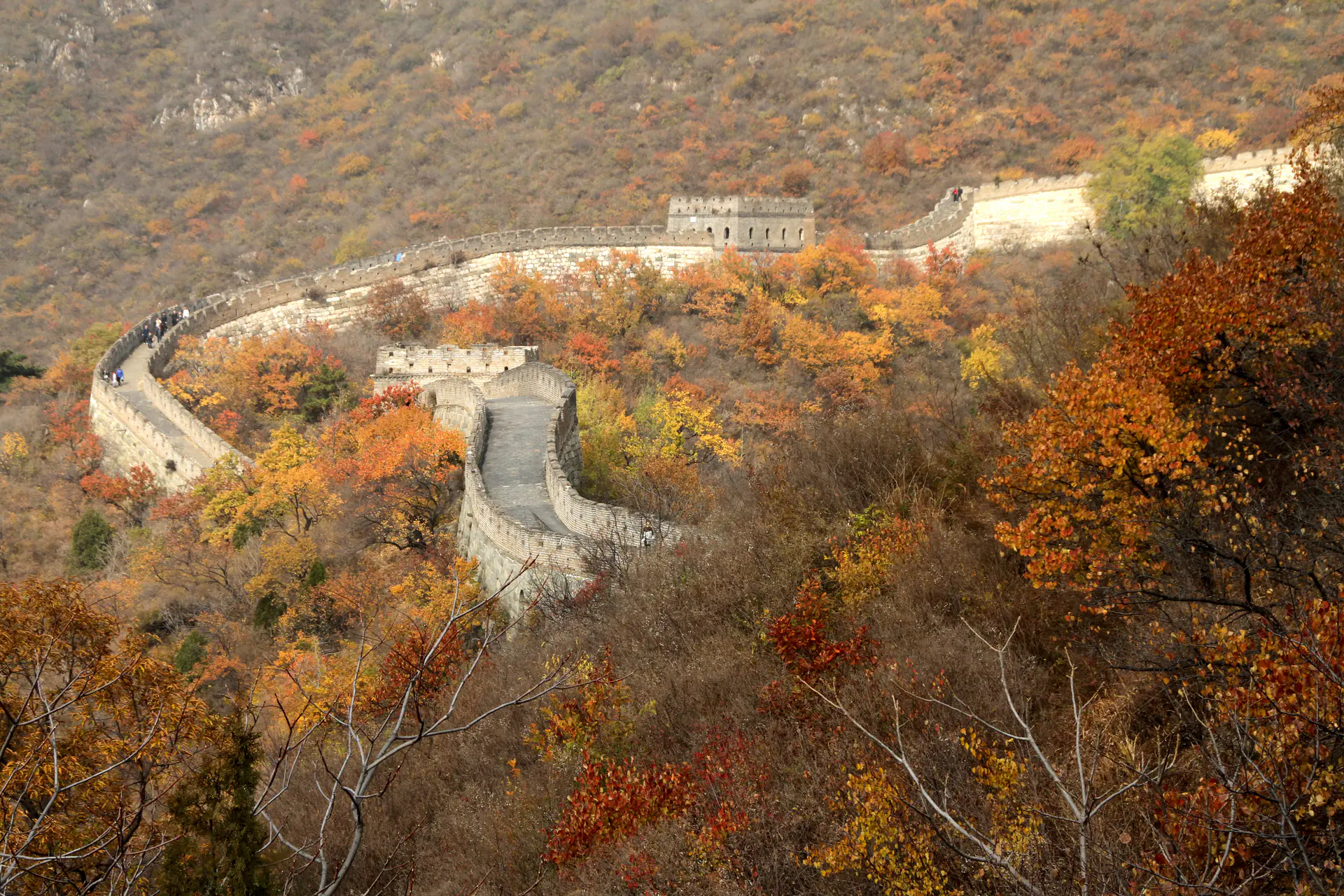 Panoramic view of Mutianyu Great Wall section winding dramatically across forested mountain ridges with watchtowers stretching into the distance