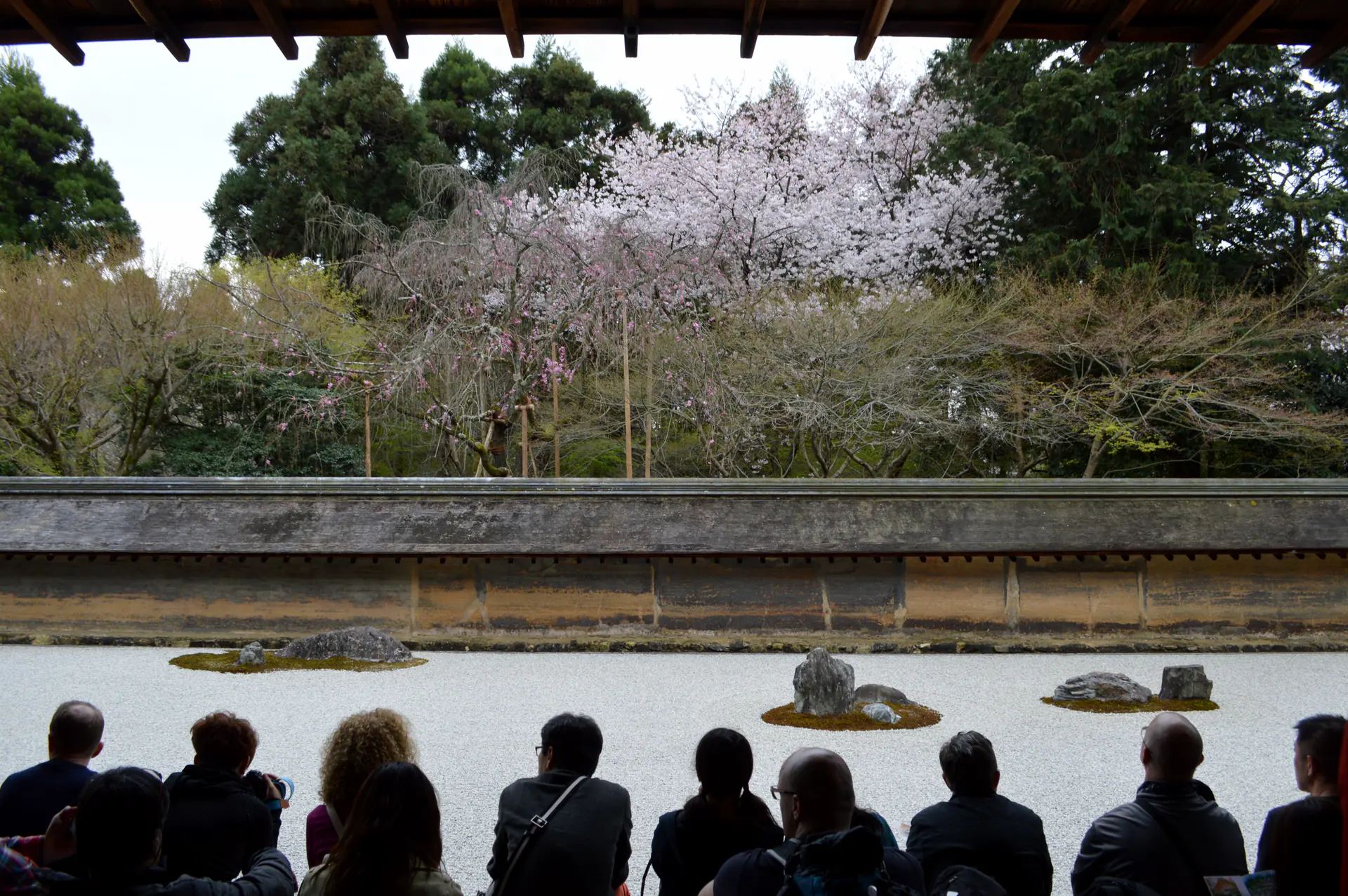 Silhouettes of contemplative visitors viewing the complete Ryōan-ji Zen rock garden from the traditional platform, showing all fifteen carefully arranged stones in raked white gravel