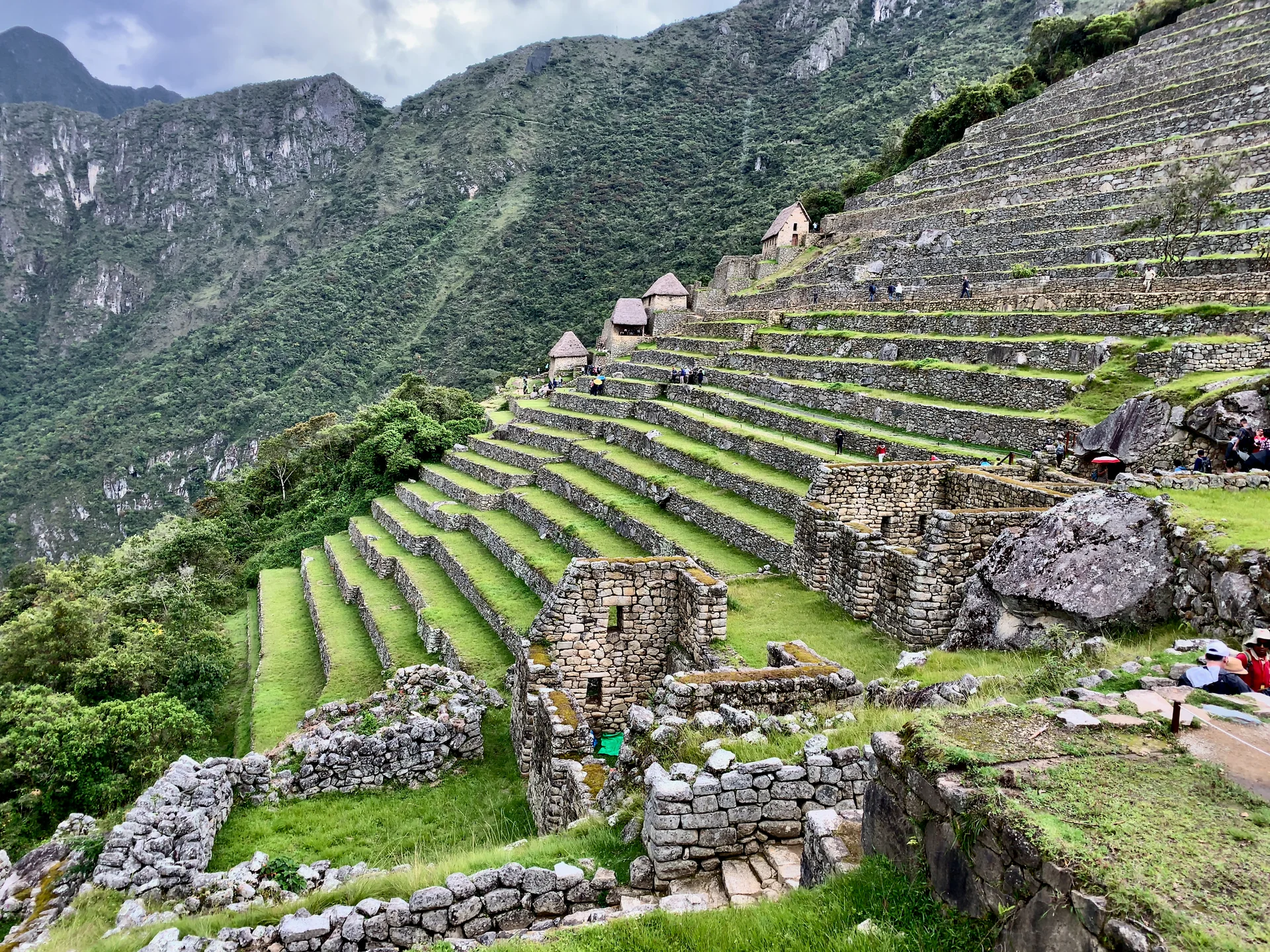 The extensive agricultural terraces at Machu Picchu showing the sophisticated farming system built into the mountain slopes