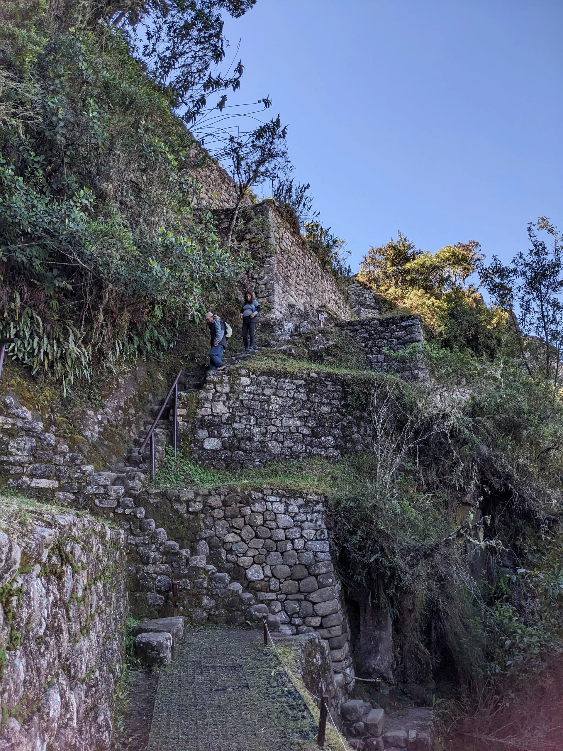 Stone steps on the steep hiking trail leading to the summit of Huayna Picchu mountain, showing the challenging path taken by adventurous visitors