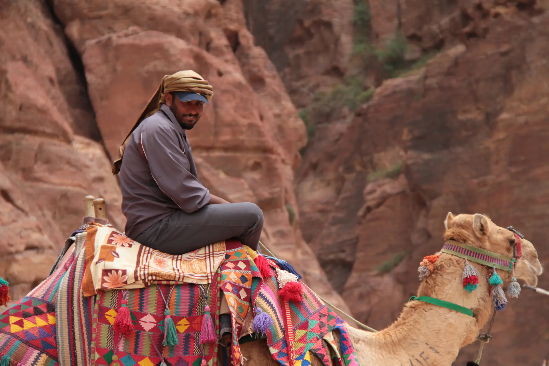 Bedouin man riding a camel through the ancient landscape of Petra, representing the continuous living cultural heritage and traditional practices of the region