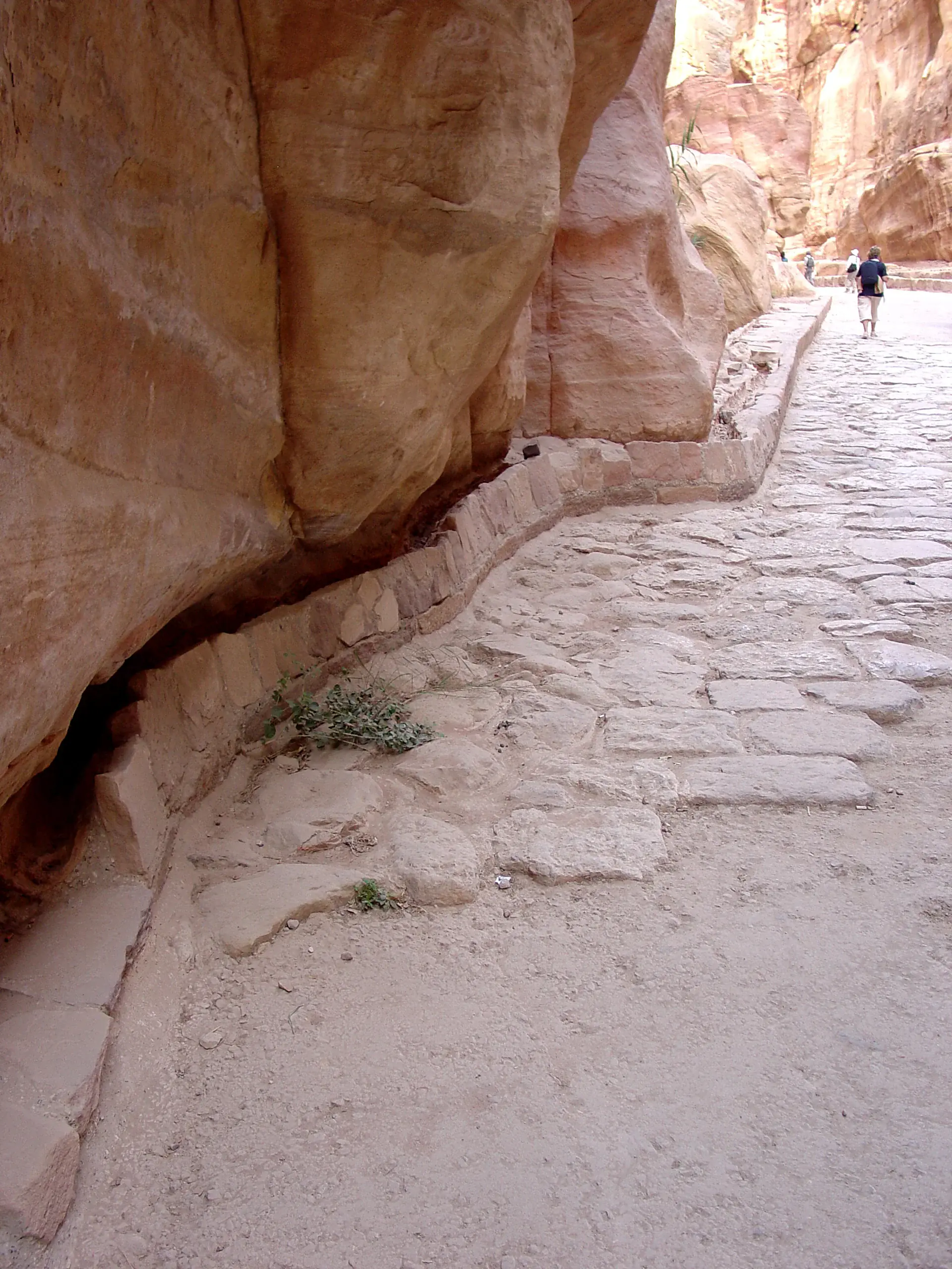 Ancient Nabataean water channels carved into rock walls showing the sophisticated hydraulic engineering system that supplied water to Petra