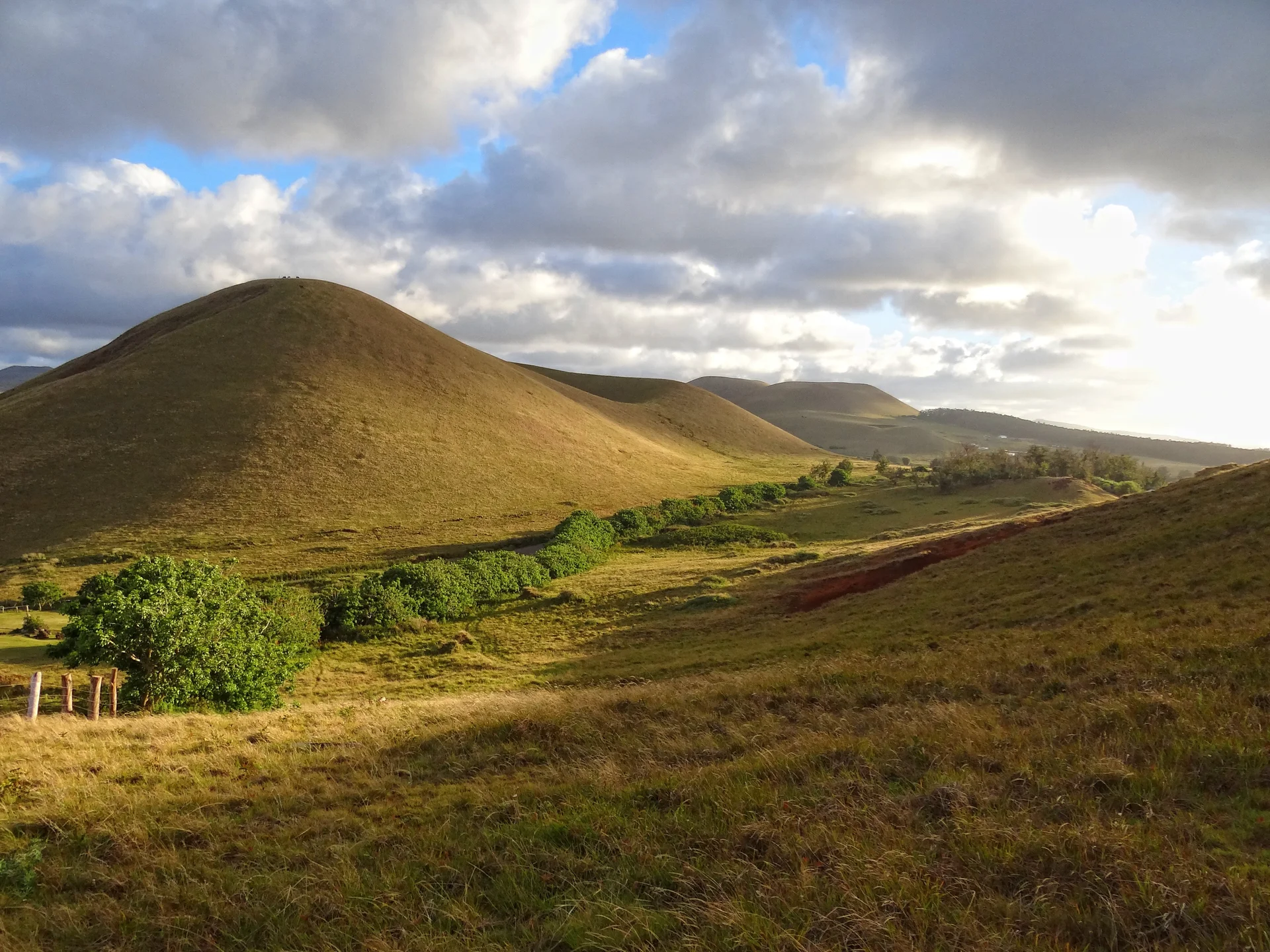 Expansive grassland landscape of Rapa Nui with moai statues scattered across rolling hills