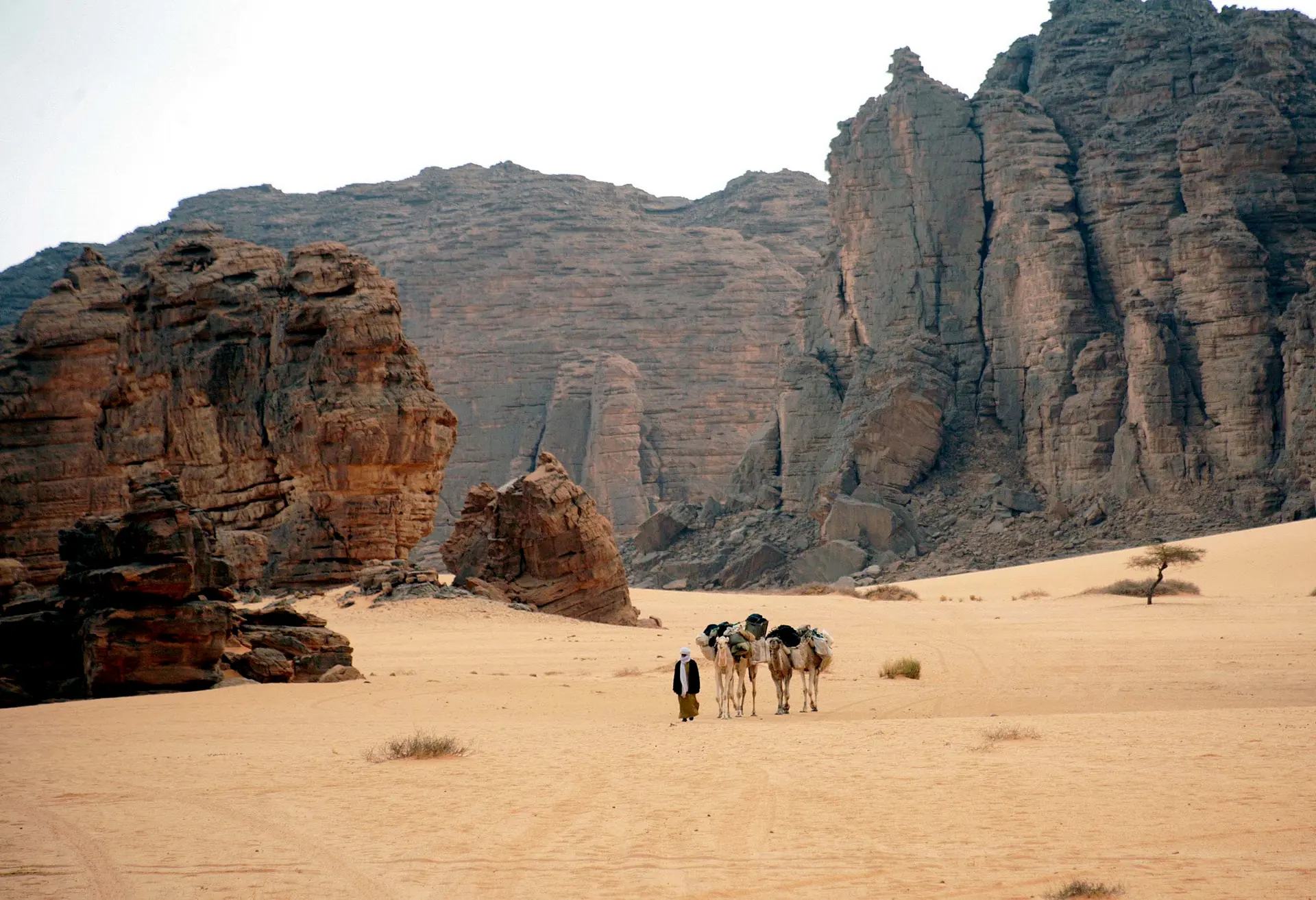 Expansive desert landscape of Tassili n'Ajjer featuring reddish sandstone formations and sparse vegetation under dramatic sky
