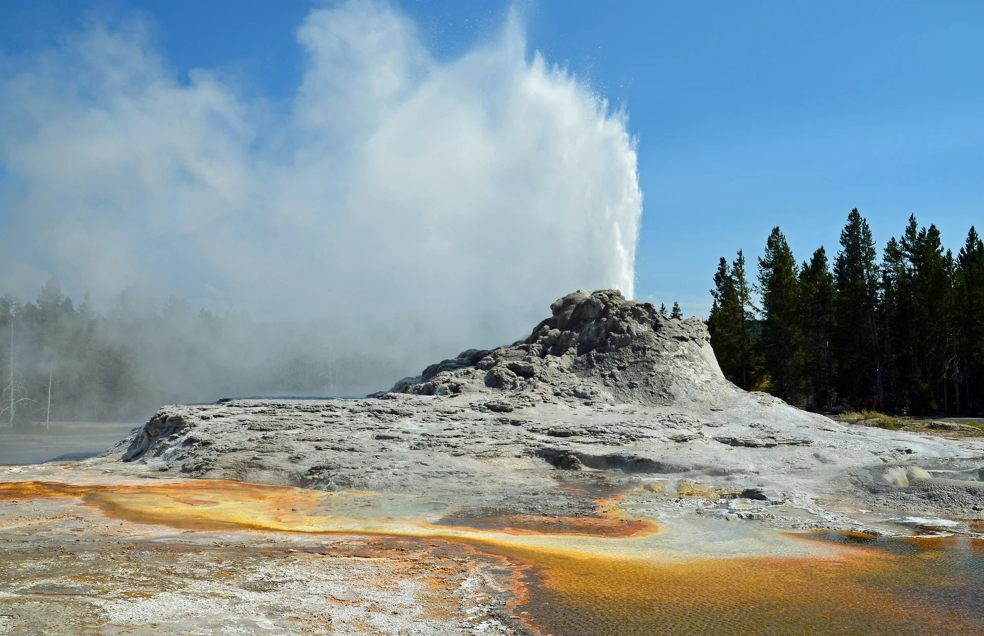 Castle Geyser with its distinctive massive sinter cone erupting powerfully, shooting water and steam high into the air with surrounding geothermal features visible