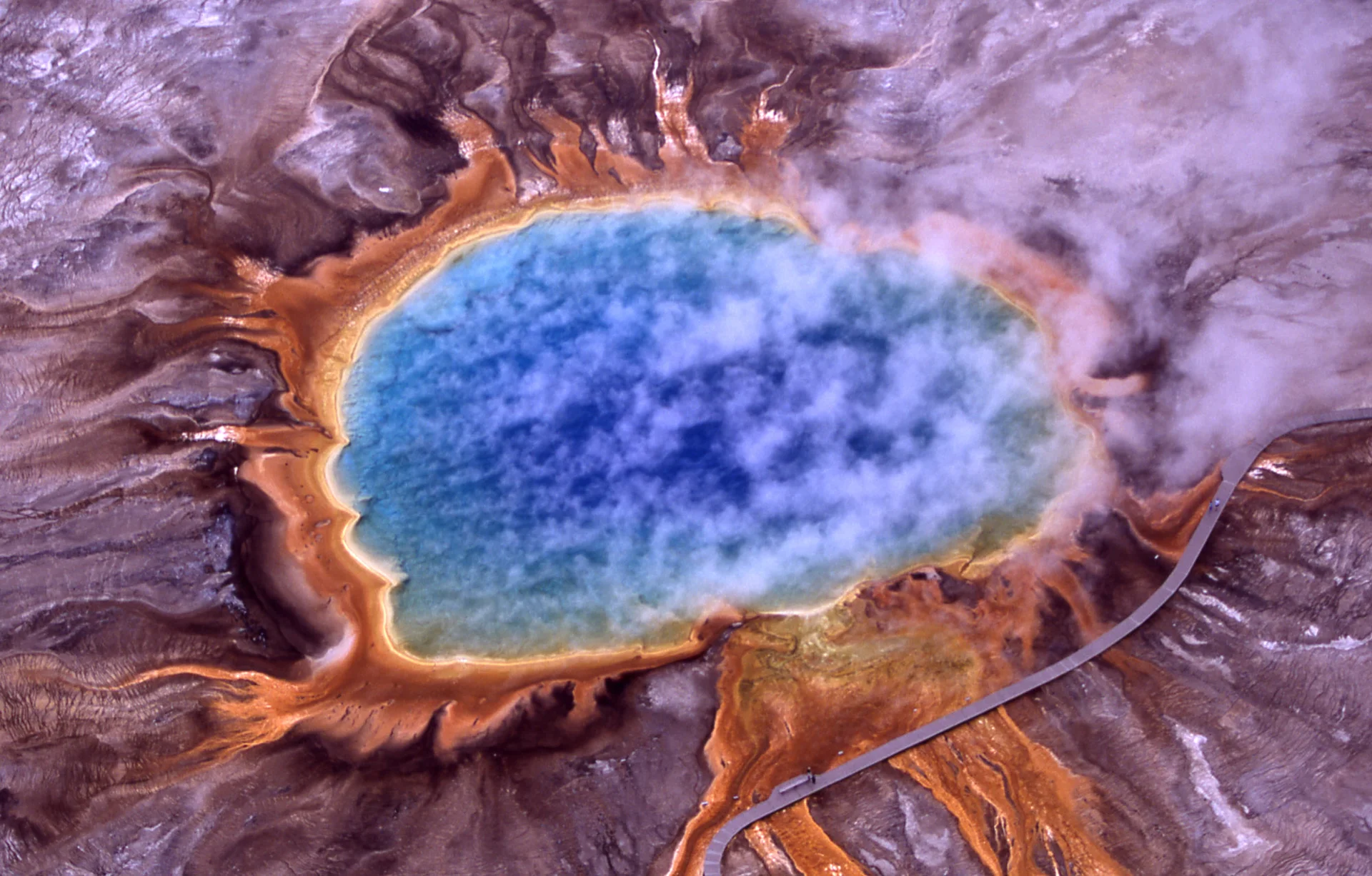 Ground-level view of Grand Prismatic Spring showing the vibrant orange and yellow bacterial mats surrounding the deep blue hot spring with steam rising into the air