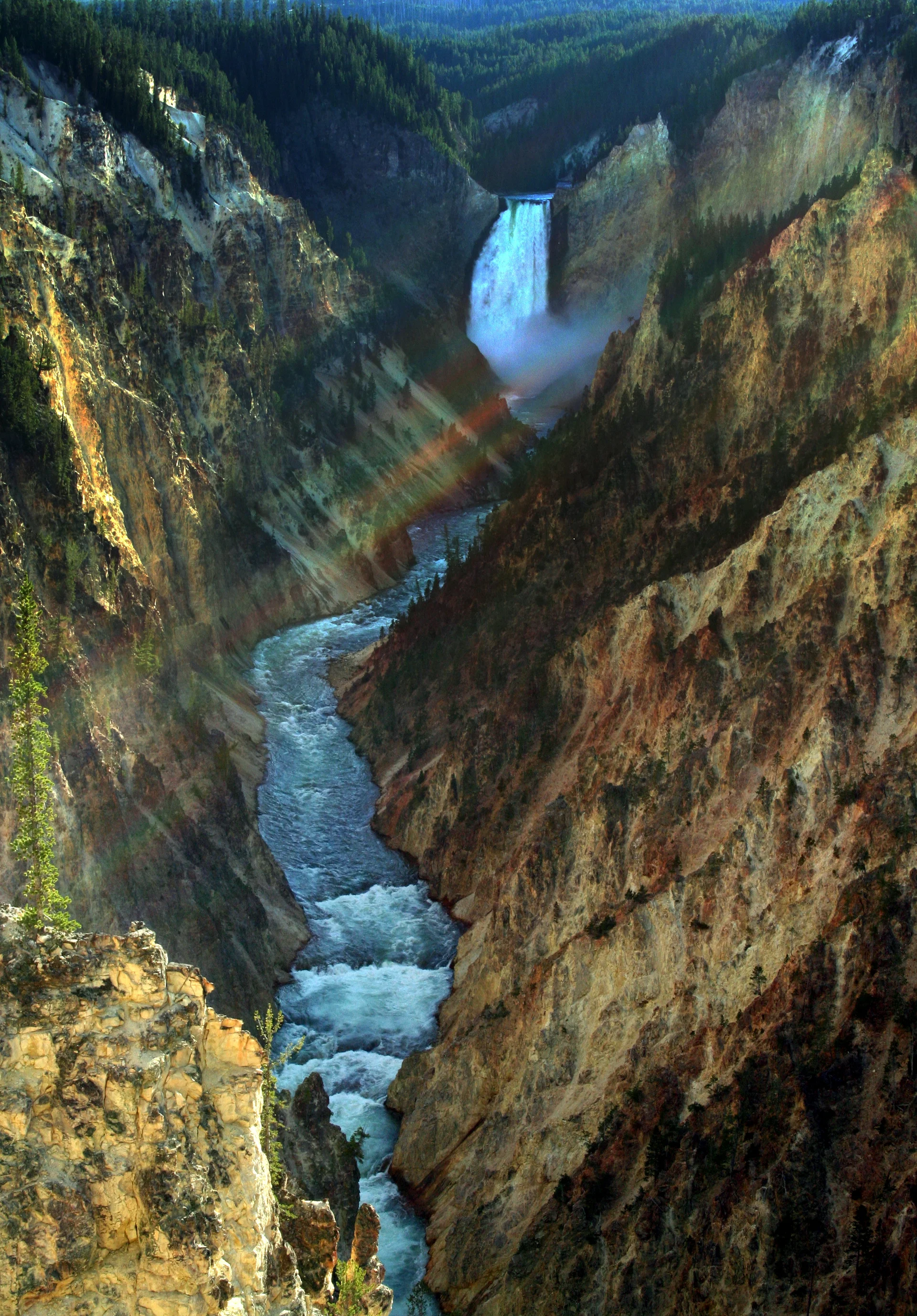 The dramatic Lower Falls of Yellowstone plunging into the yellow and orange canyon walls, surrounded by evergreen forest with mist rising from the powerful waterfall