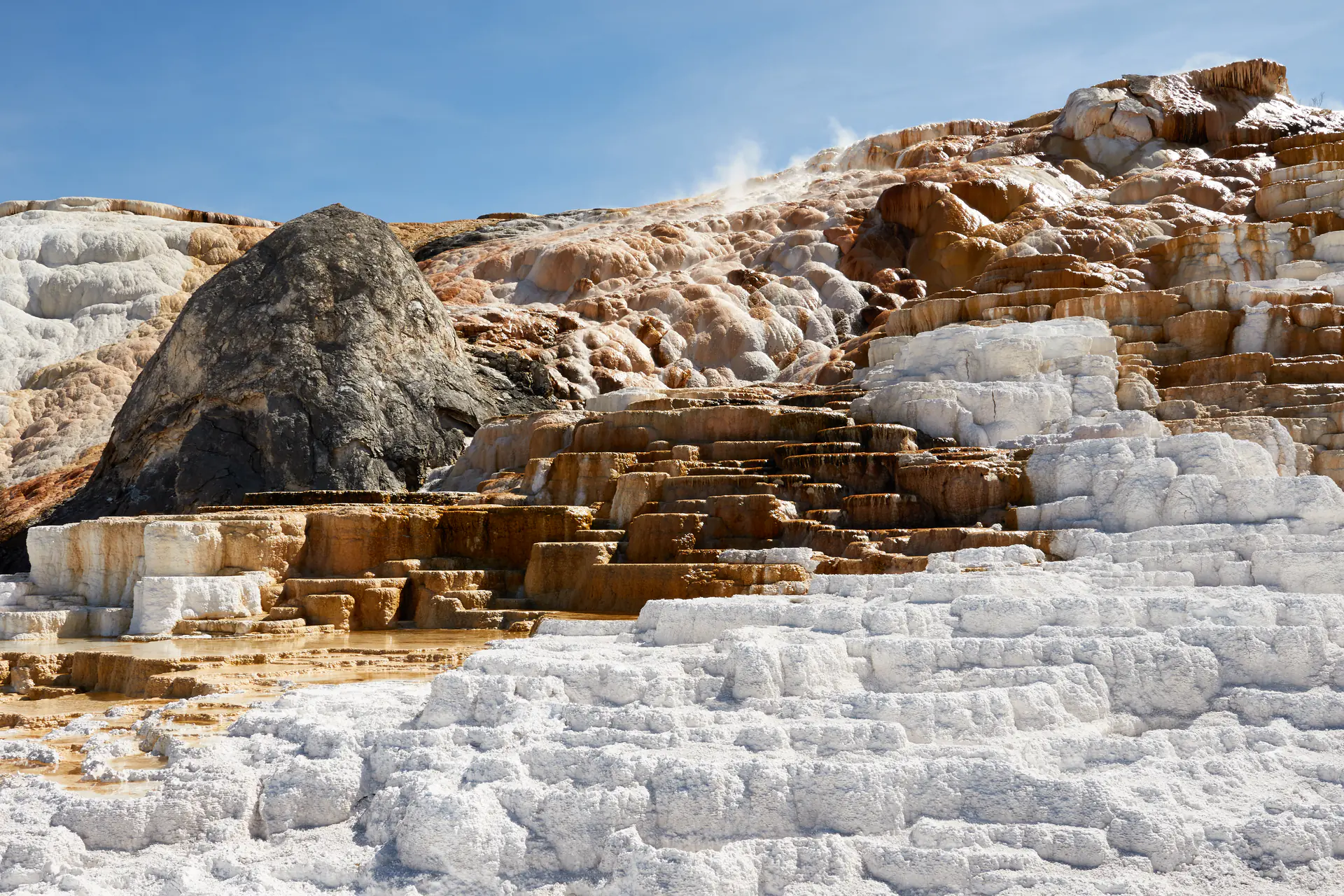 White and orange travertine terraces of Mammoth Hot Springs cascading down the hillside with steam rising from hot water flowing over the mineral formations
